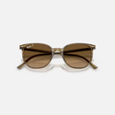 Ray-Ban Elliot RB2197 Multiple Colors Size 52