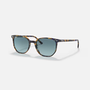 Ray-Ban Elliot RB2197 Multiple Colors Size 52