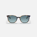 Ray-Ban Elliot RB2197 Multiple Colors Size 52