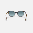 Ray-Ban Elliot RB2197 Multiple Colors Size 52