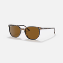 Ray-Ban Elliot RB2197 Multiple Colors Size 52