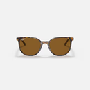 Ray-Ban Elliot RB2197 Multiple Colors Size 52