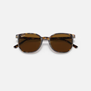 Ray-Ban Elliot RB2197 Multiple Colors Size 52