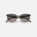 Ray-Ban Elliot RB2197 Multiple Colors Size 52