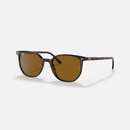 Ray-Ban Elliot RB2197 Multiple Colors Size 52
