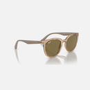 Ray-Ban Sunglasses Model RB4383L Color 662773 Size 53